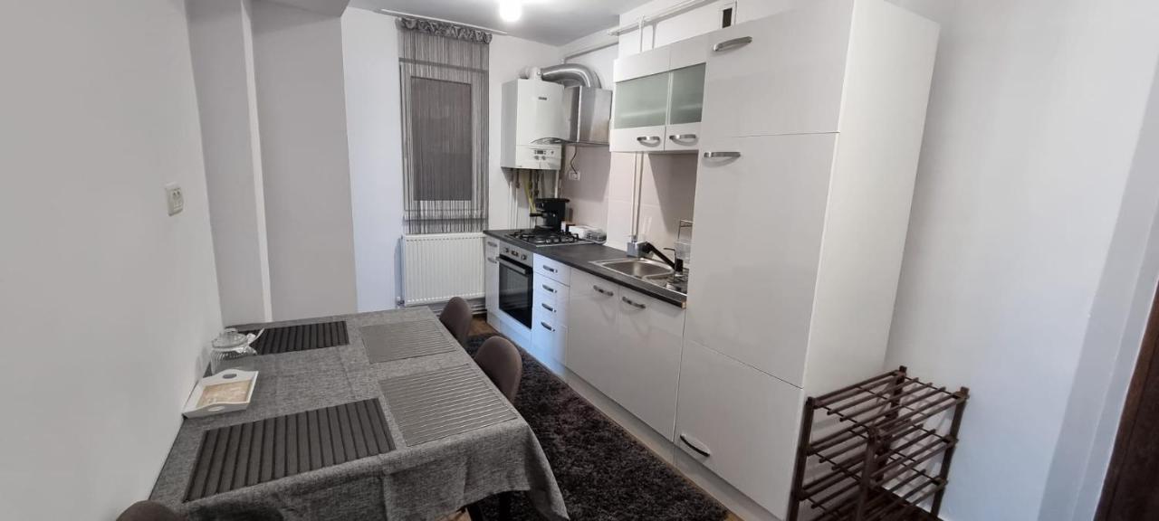Dacia Apartment Timișoara Zewnętrze zdjęcie