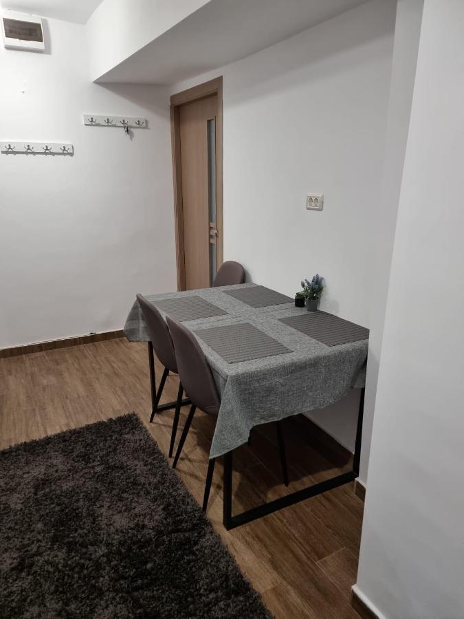 Dacia Apartment Timișoara Zewnętrze zdjęcie