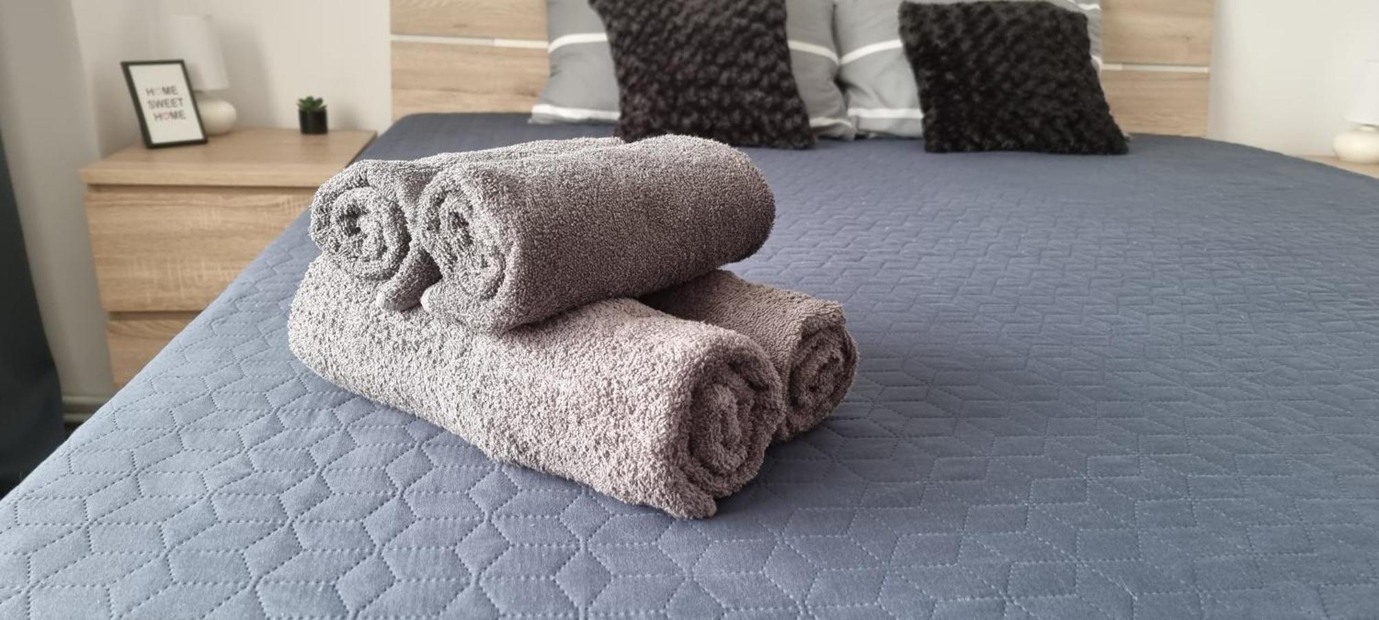 Dacia Apartment Timișoara Zewnętrze zdjęcie